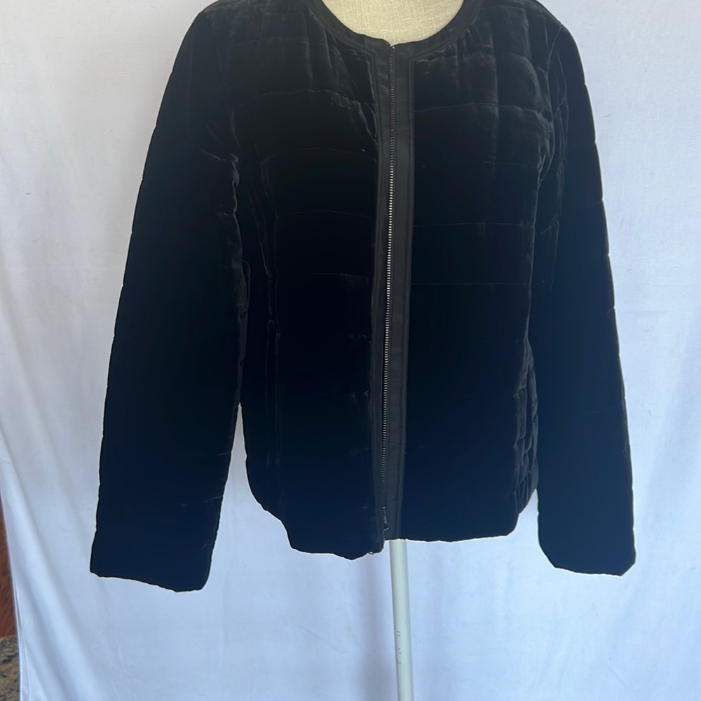 Velvet soft zip collarless jacket